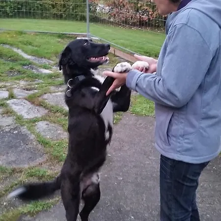 Apartment Urlaubsnest