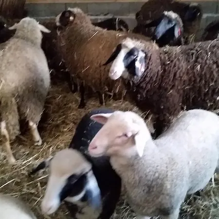 Apartment Urlaubsnest Harbach (Gmund)