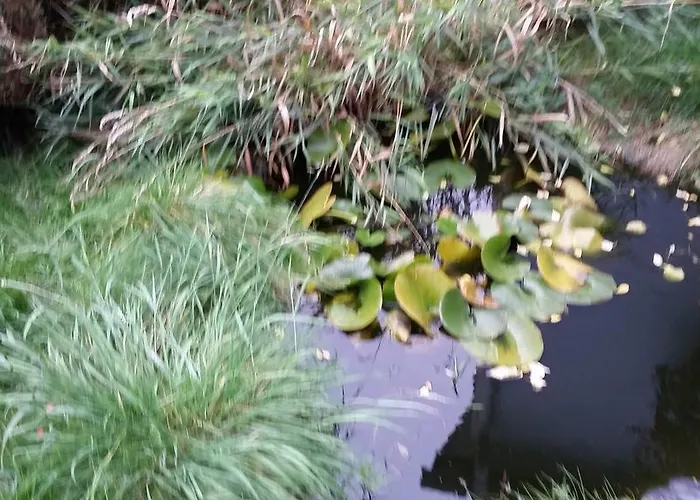 Urlaubsnest Apartamento *